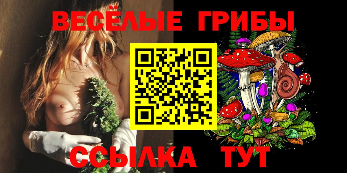 Самара  Галлюциногенные грибы Cubensis  Вход с VPN 